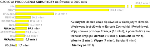 uprawa zbiory kukurydzy w Europie na wiecie wykres pastwa