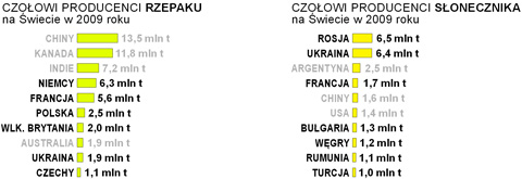 uprawa zbiory rzepaku sonecznika w europie na wiecie wykres pastwa