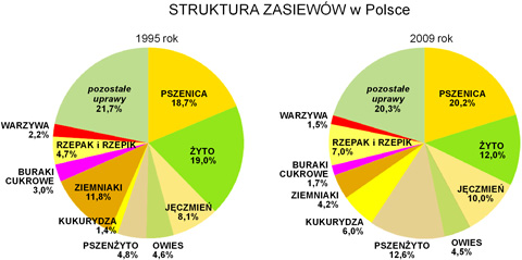 struktura zasieww w polsce diagramy pszenica yto jczmie ziemniaki