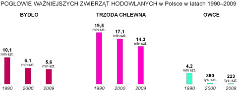 pogowie zwierzt w polsce wykres bydo trzoda chlewna owce