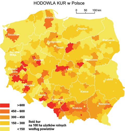 hodowla kur w polsce mapa