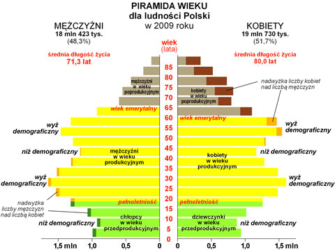 piramida wieku polska struktura wieku i pci