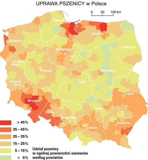 uprawa pszenicy w polsce mapa