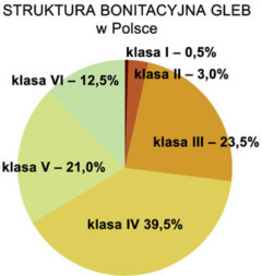 struktura gleb polski diagram klasy bonitacyjne