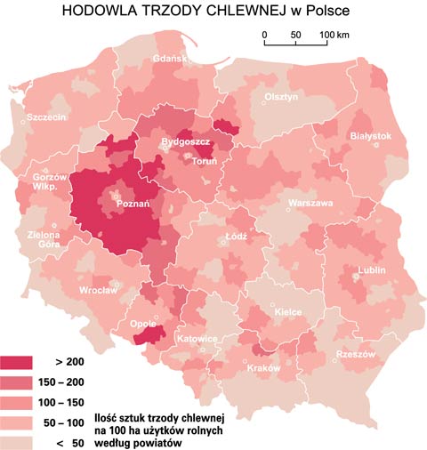 hodowla trzody chlewnej w polsce mapa