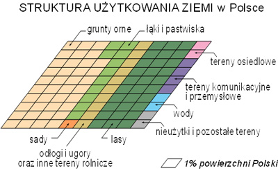 struktura uytkowania ziemi w polsce diagram grunty orne lasy ki sady