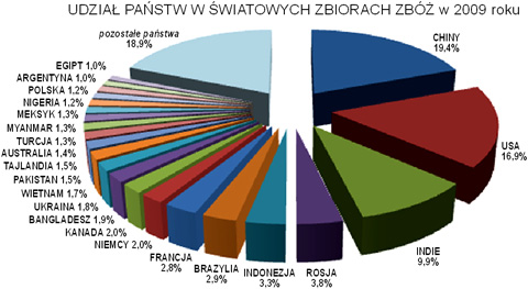 zbiory zb na wiecie diagram