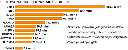 zbiory pszenicy na wiecie wykres