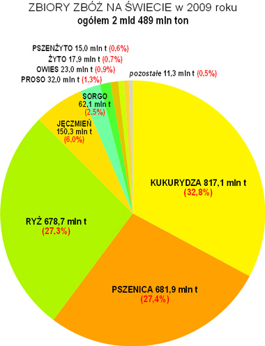 zbiory zb na wiecie diagram pszenica kukurydza ry