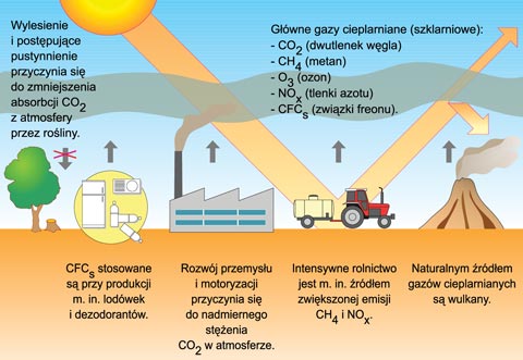 Efekt cieplarniany