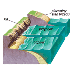 erozja morska