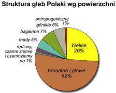 Struktura gleb Polski