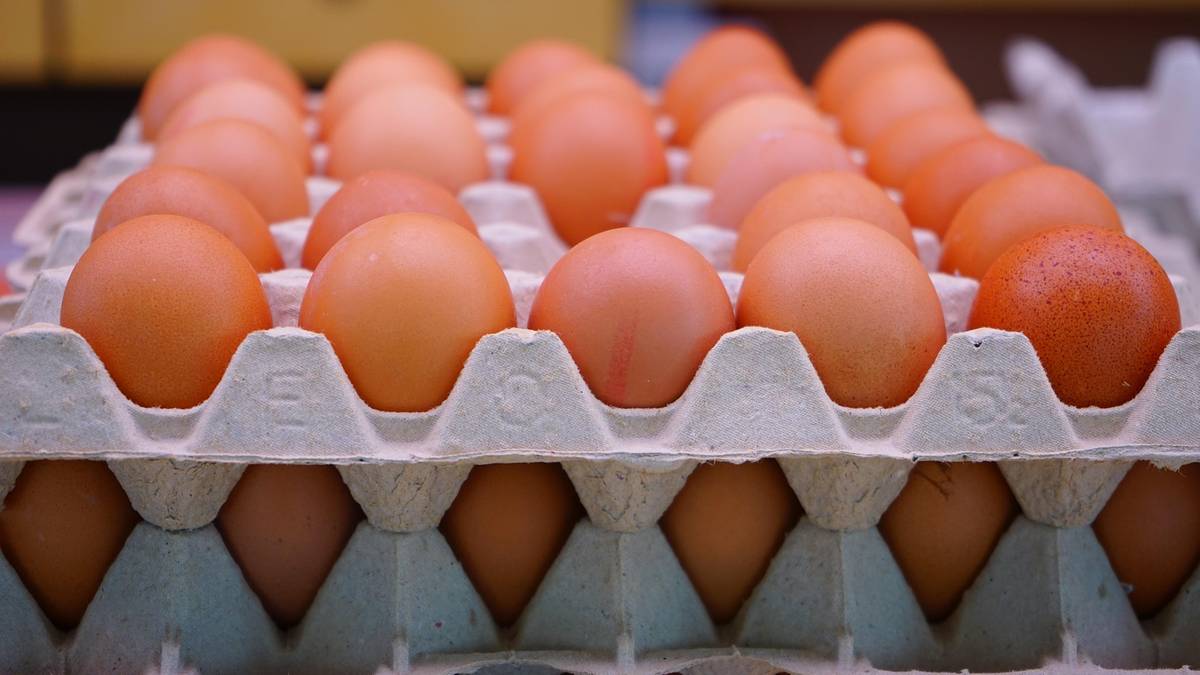 Коричневі курячі яйця в картонних лотках, складених один на одного